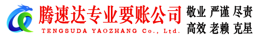 龙湖清债公司